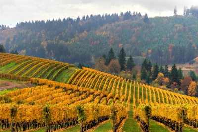 valley realty professionals newberg oregon oregon wine country specialists